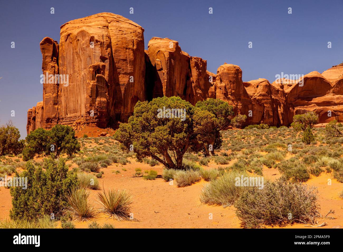 Parkstrasse, Monument Valley, Arizona, USA Stock Photo