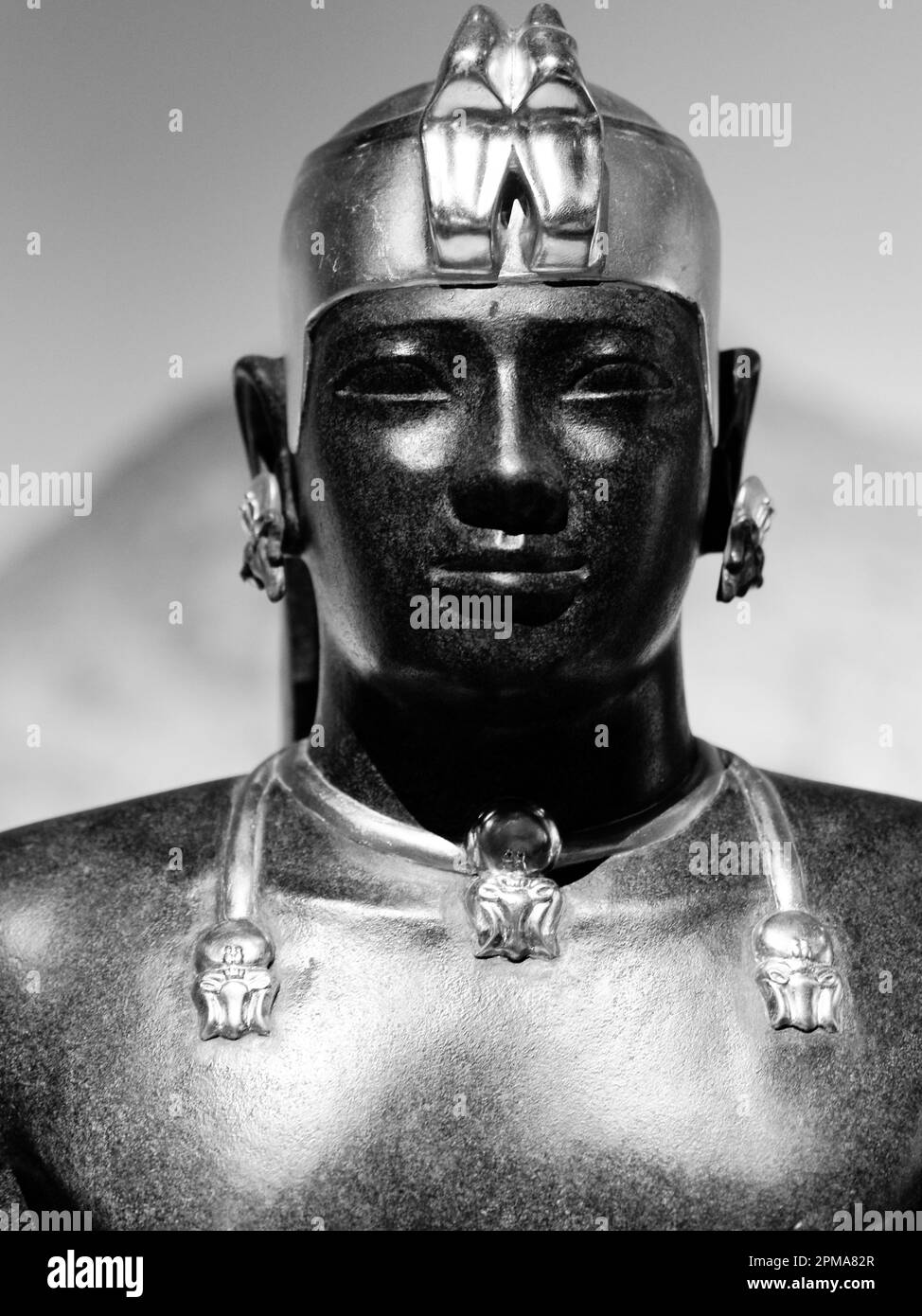 Feuille africaine hi-res stock photography and images - Alamy