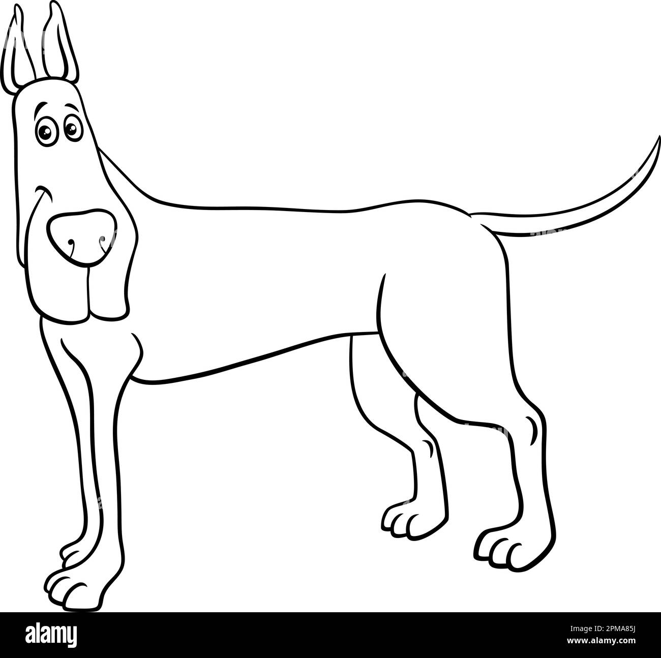 Black and white cartoon illustration of Great Dane purebred dog animal character coloring page Stock Vector