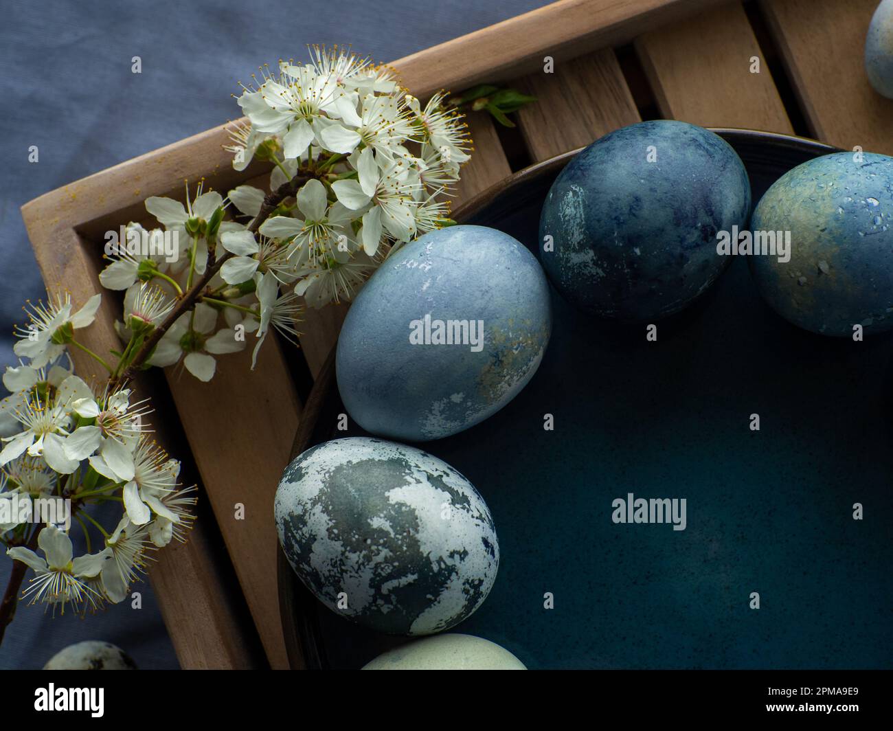Blue painted easter eggs with cherry blossom twigs Stock Photo - Alamy