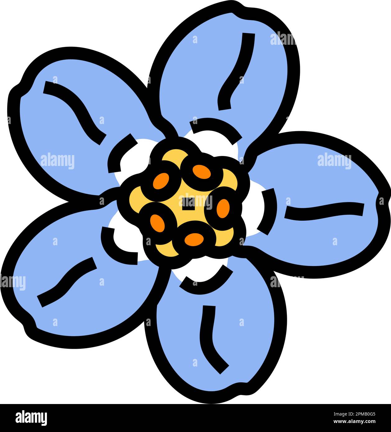 Forget me not flower colorful vector isolated Stock Vector Image & Art -  Alamy