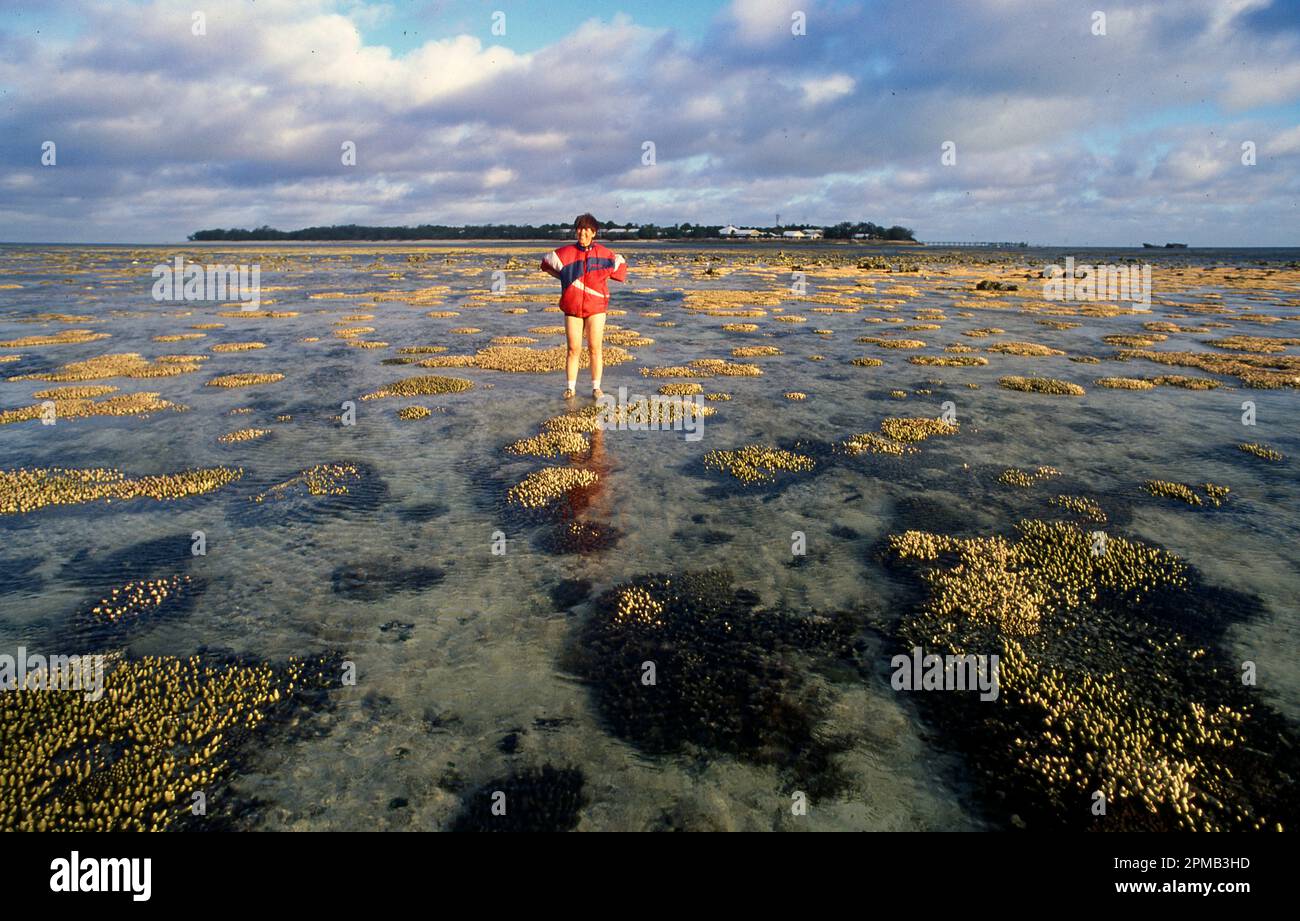 The exposed reef flat at Heron Island, Great Barrier Reef, Australia