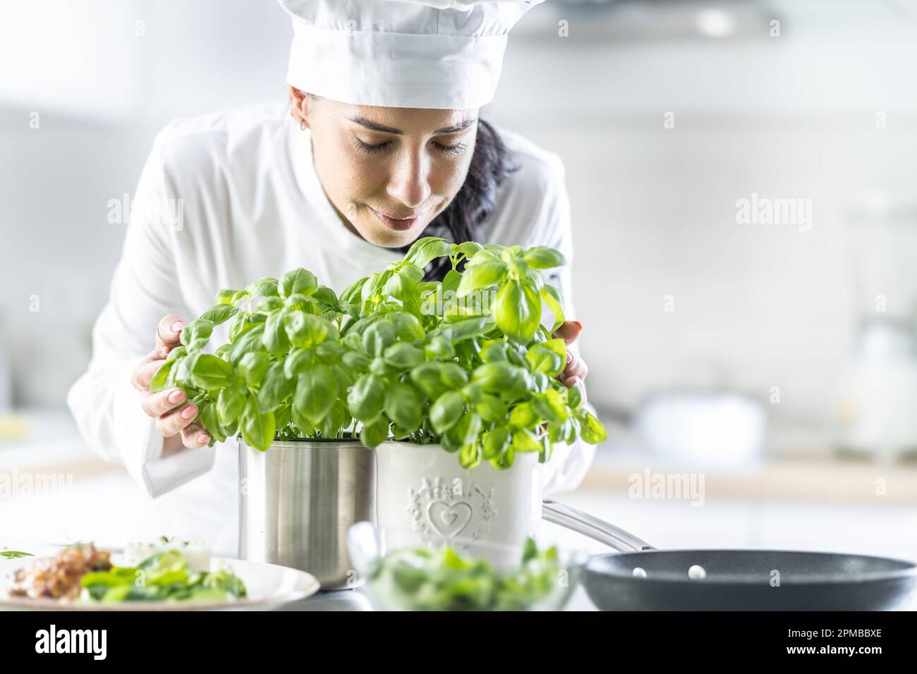 Professional female chef in white hat closes her eyes as she smells fresh basil in pots in front of her. Stock Photo
