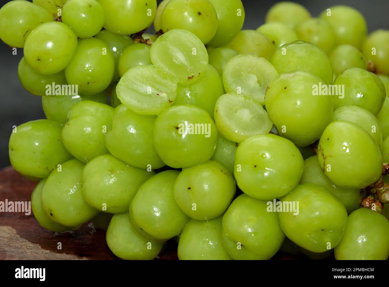 Sweet Muscat Grape, Gourmet "Moscato Pillar", The Most Expensive Grape