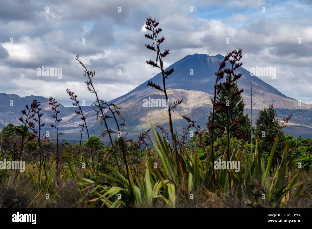 Mt Ngauuhoe volcano, Tongariro National Park, North Island, New Zealand Stock Photo