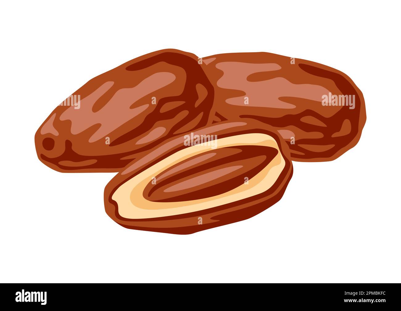 Illustration of dates fruits. Tropical vegetarian food for healthy