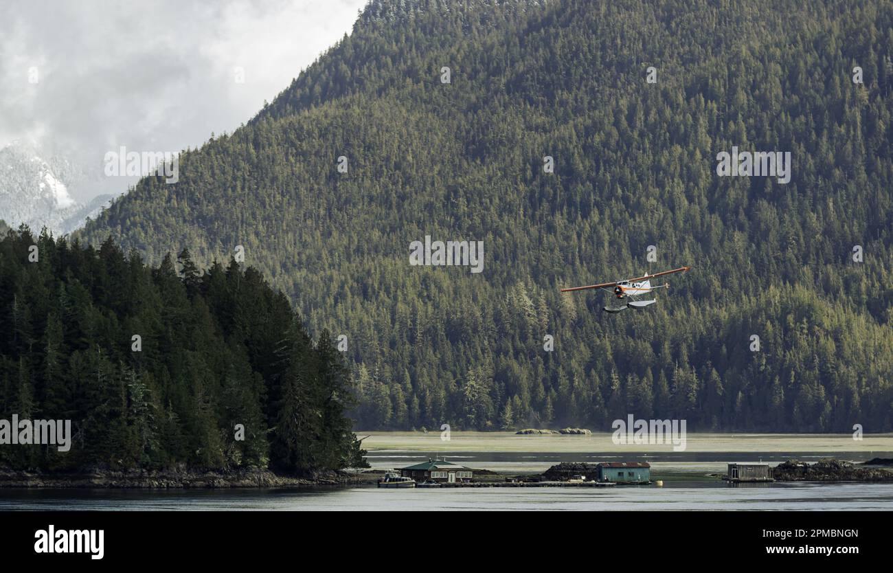 A float plane makes final approach to land in Tofino's harbour at low