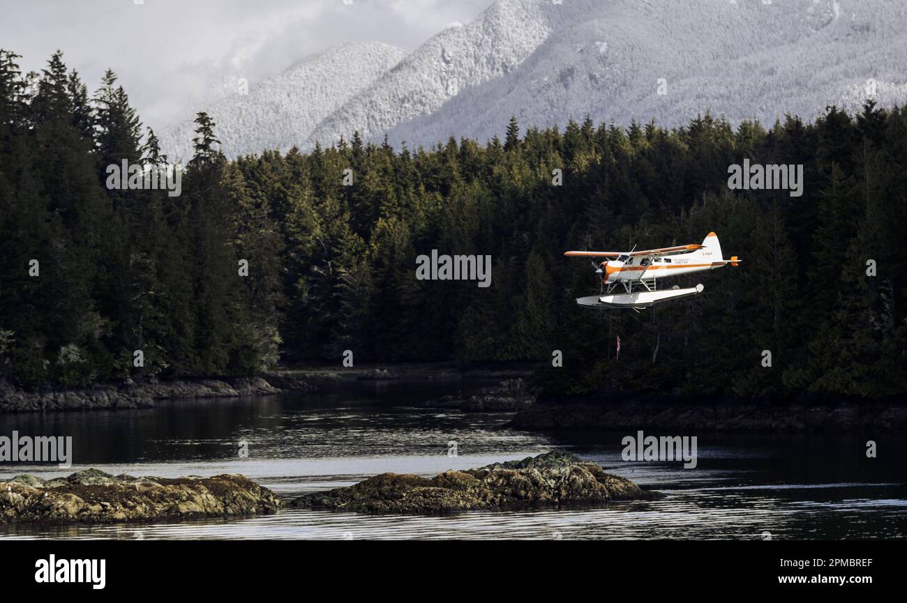 A float plane makes final approach to land in Tofino's harbour at low ...