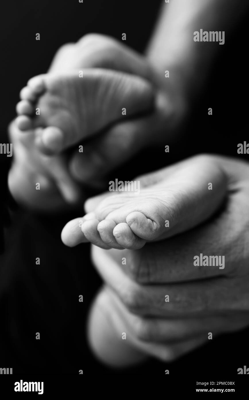 Black white shade beautiful shape hands of mother, hold tiny newborn baby feet Stock Photo Alamy