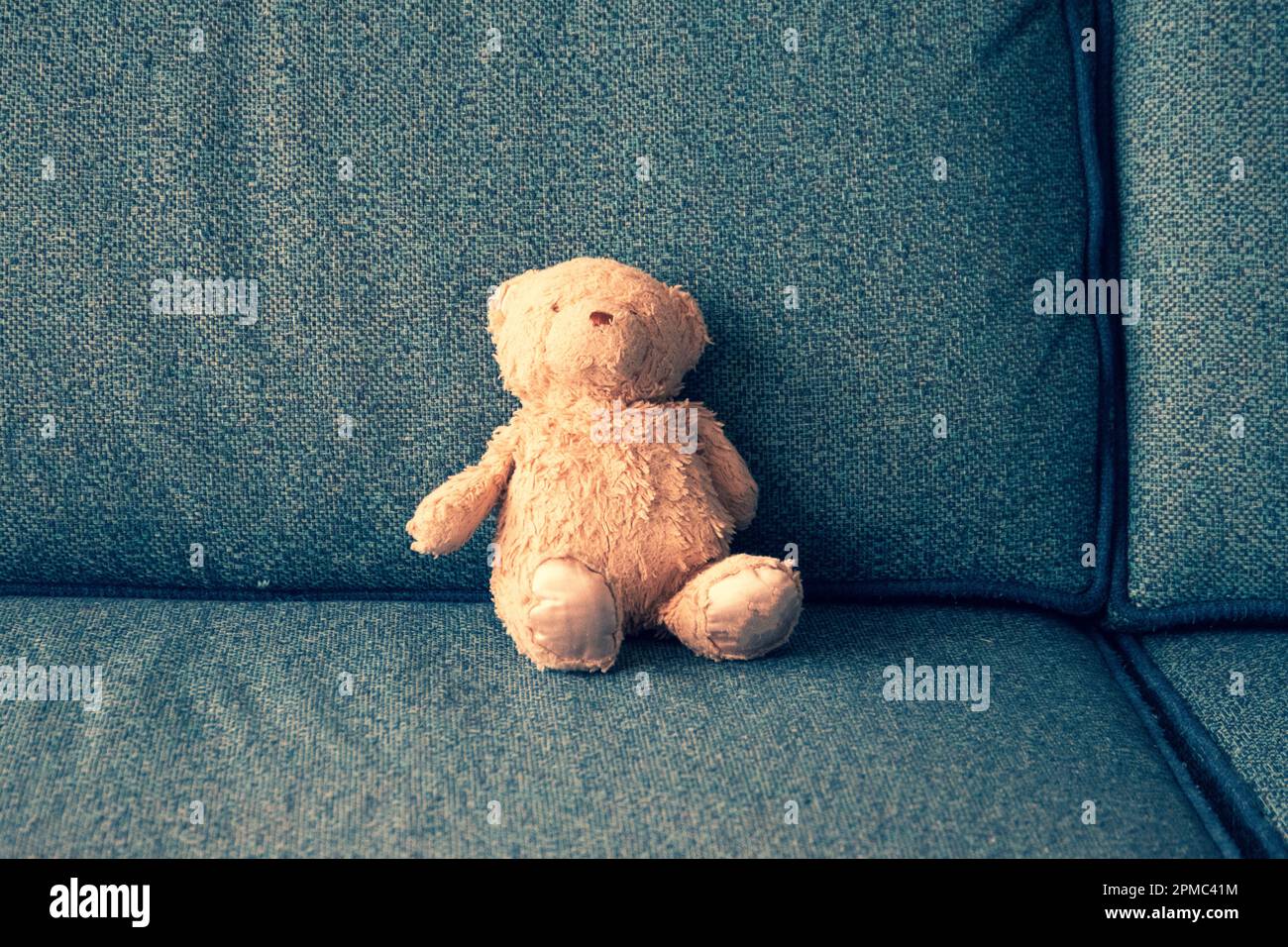 fuzzy well-loved teddy bears siting on a textured couch. Stock Photo