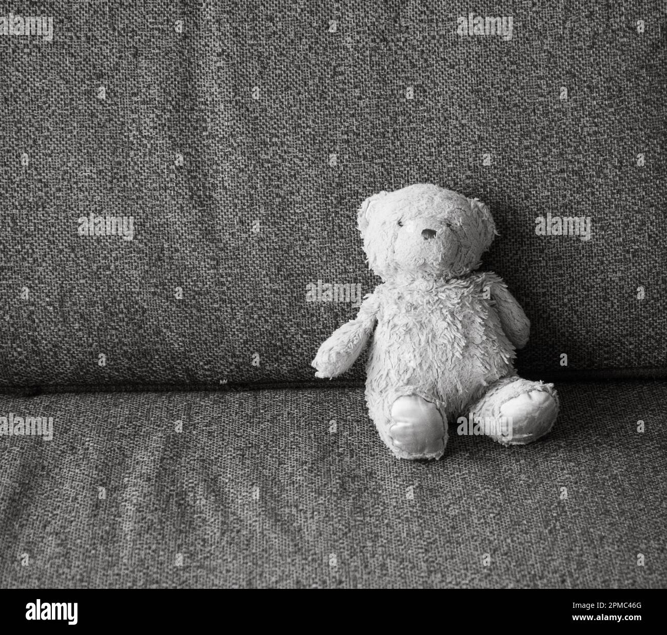 fuzzy well-loved teddy bears siting on a textured couch. Stock Photo