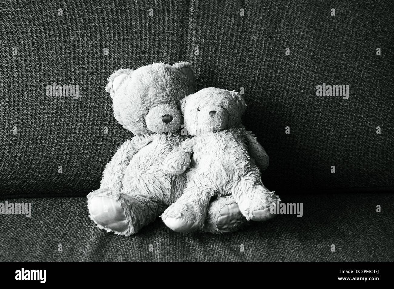 Two fuzzy well-loved teddy bears siting on a textured couch. Stock Photo