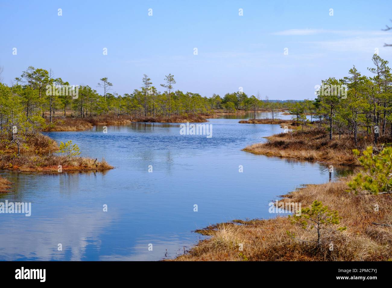Kemeru swamp, national park with blue lake and trees, and bushes in Latvia  with wooden pathway between water, Europe Stock Photo - Alamy