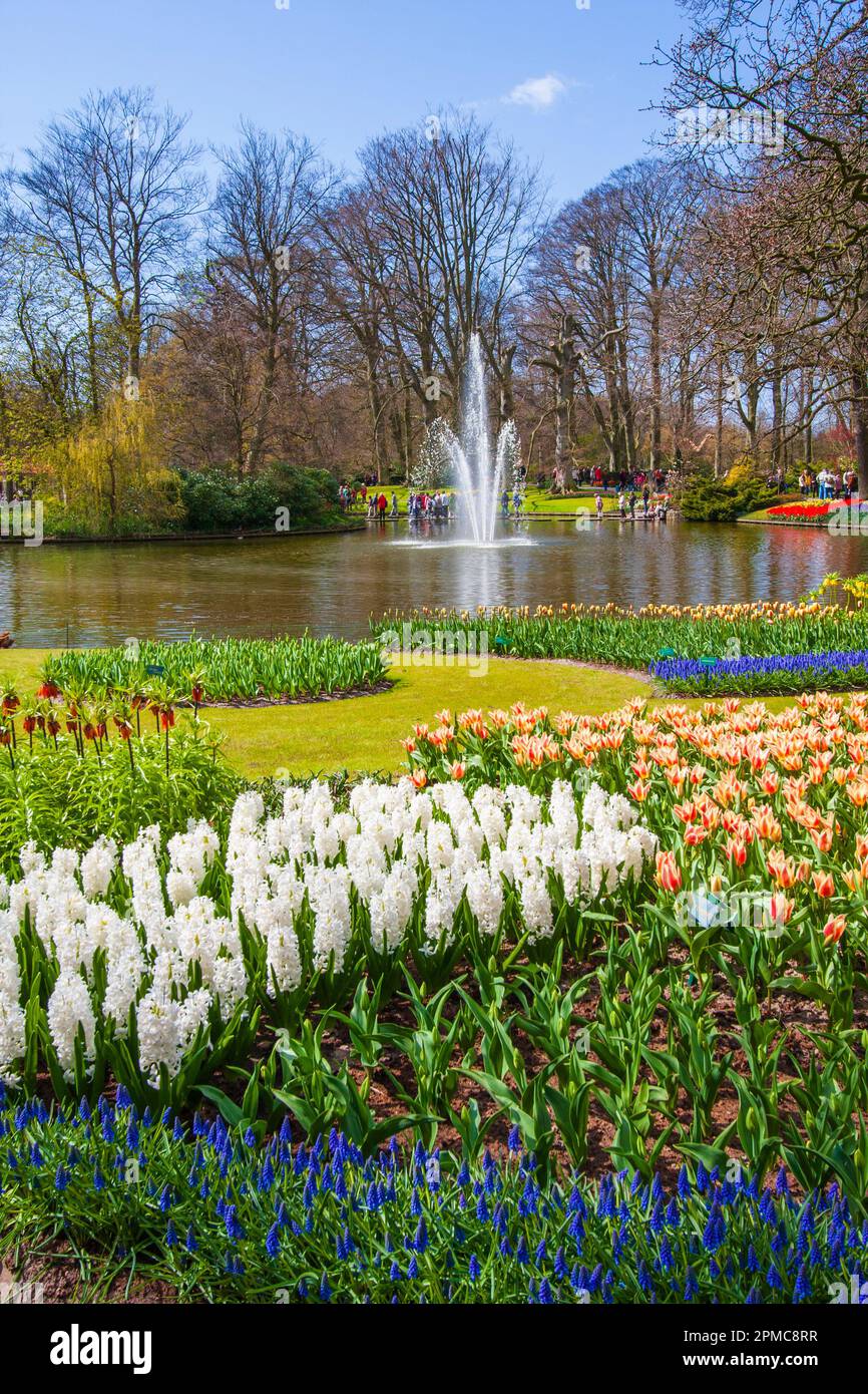 Garden scene with lake and fountain at Keukenhof Gardens in The Netherlands. (Holland). Hyacinths, tulips, imperials, and muscari. Stock Photo