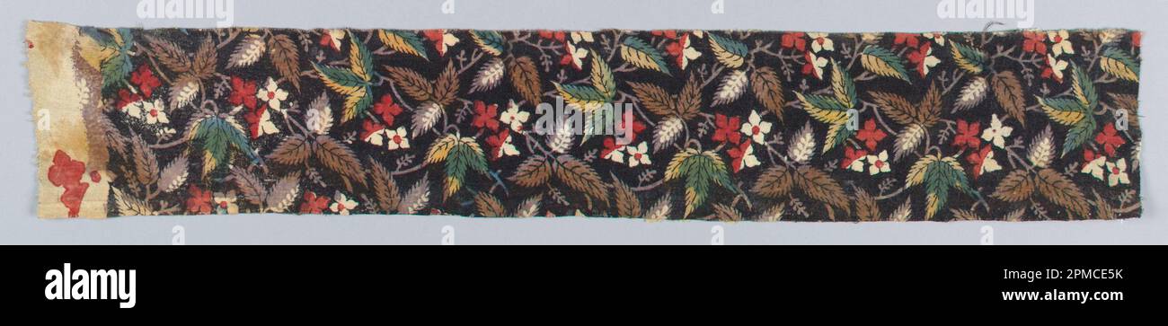 Fragment (France); cotton; Warp x Weft: 48 x 8 cm (18 7/8 x 3 1/8 in.) Repeat H: 21 cm (8 1/4 in.) Stock Photo