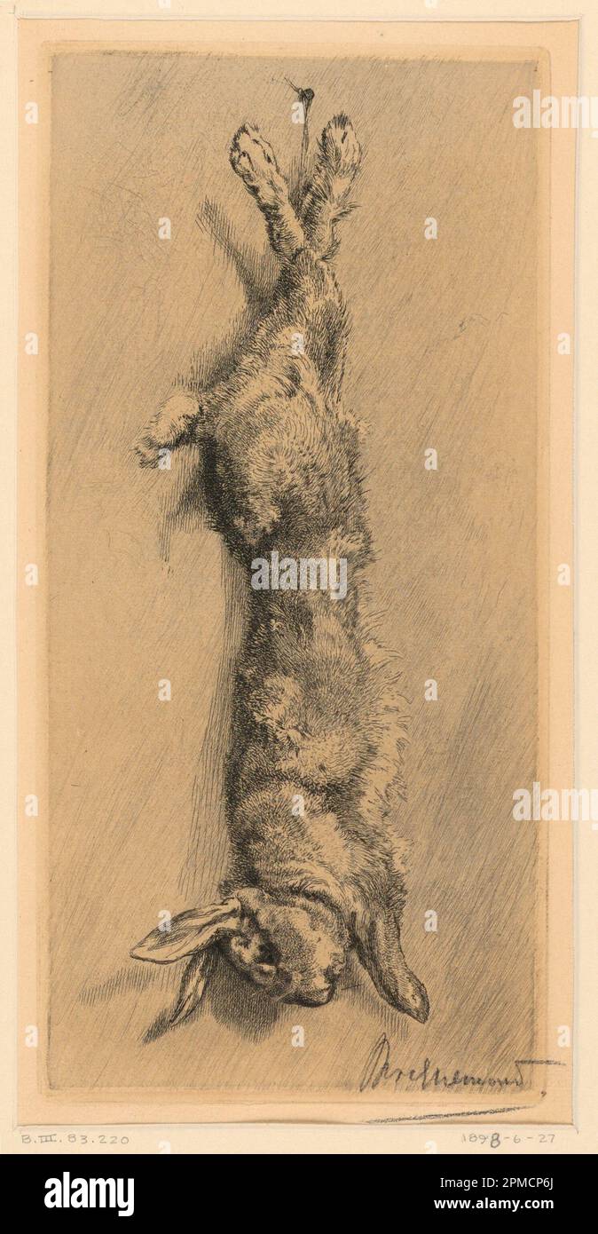 Print, Le Lapin de Garenne; Print Maker: Felix Bracquemond (France, 1833 – 1914); France; etching on cream paper; 31.8 × 19.8 cm (12 1/2 × 7 13/16 in.) Stock Photo