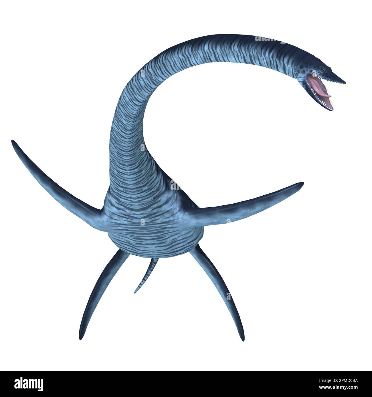 Elasmosaurus was a marine plesiosaur reptile that lived in North America seas in the Cretaceous Period. Stock Photo