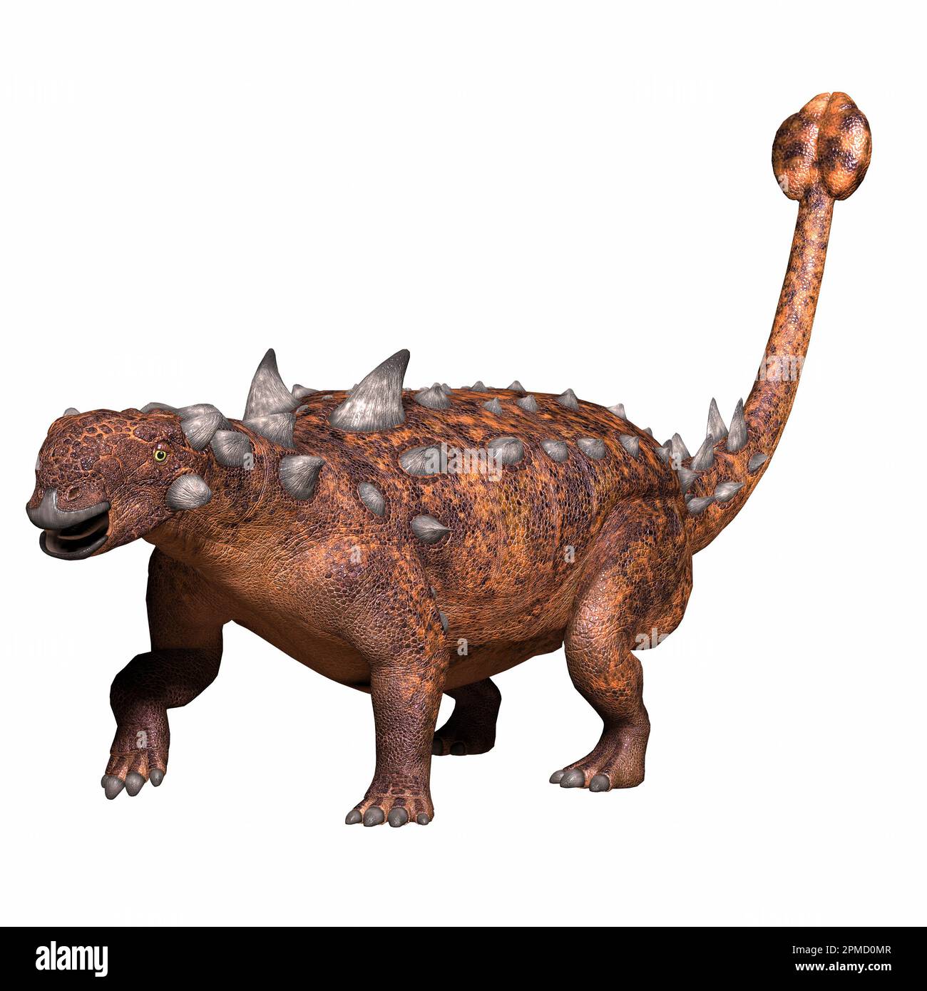 Euoplocephalus was an Ankylosaur armored dinosaur that lived in Alberta, Canada during the Cretaceous Period. Stock Photo
