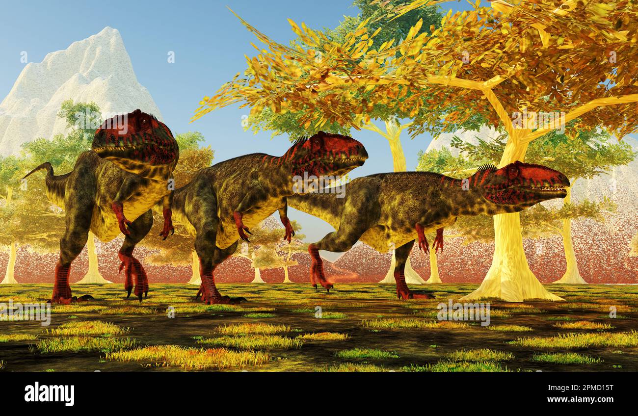 Giganotosaurus was a carnivorous theropod dinosaur that lived in Argentina during the Cretaceous Period. Stock Photo