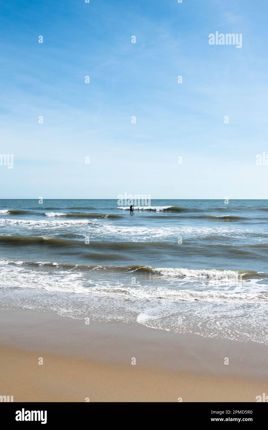 A person in a wetsuit, Standing up and paddle boarding in the Atlantic
