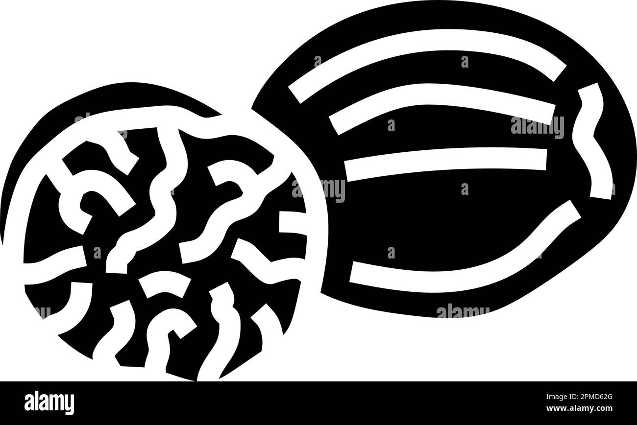 nutmeg food herb glyph icon vector illustration Stock Vector Image