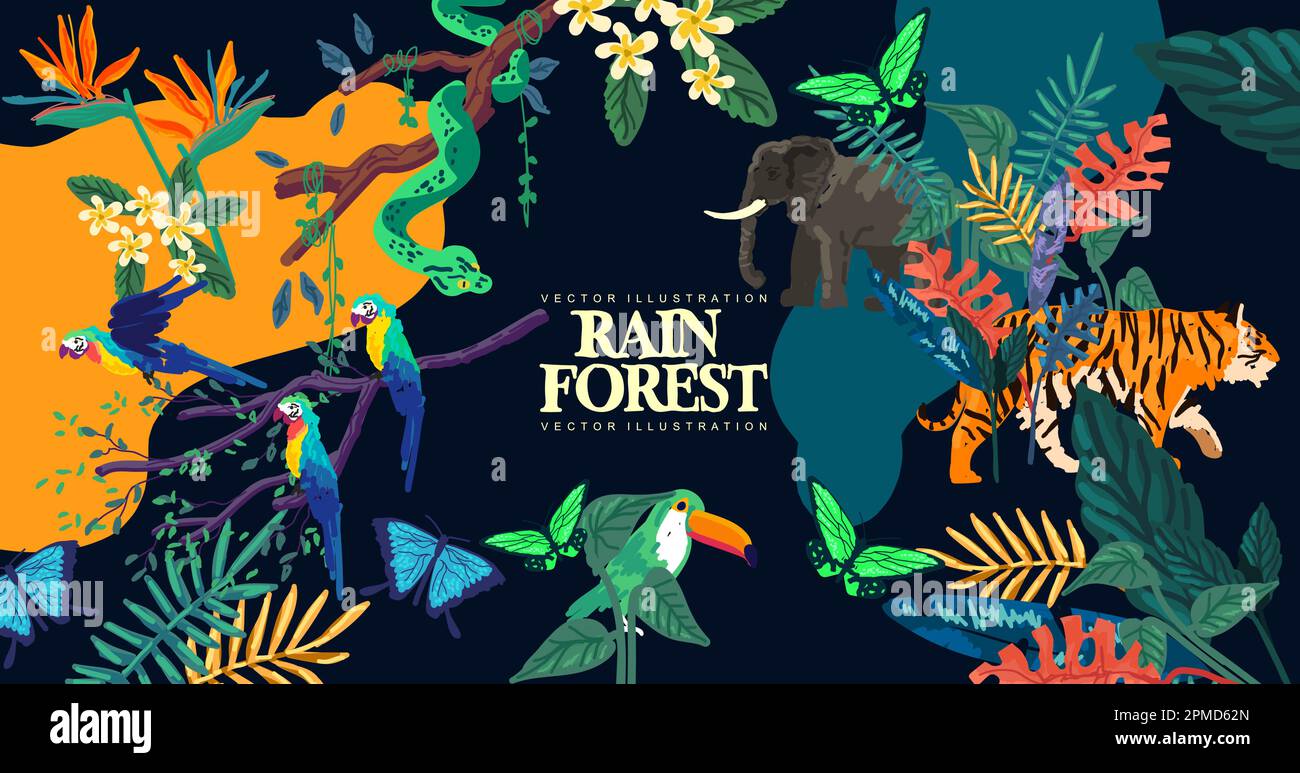 A collection of wild rain forest plants, trees and animals. Vector illustration layout background pattern. Stock Vector
