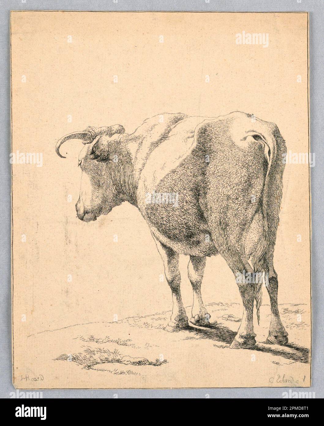 Etching with engraving on paper hires stock photography and images Alamy