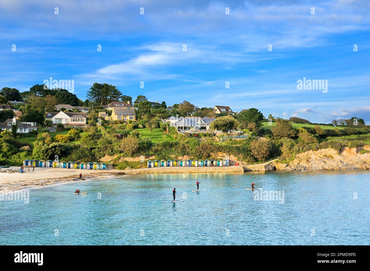 A group of men stand-up paddleboarding (SUP for short) in the calm waters at Swanpool beach in late summer, near Falmouth, Cornwall, England, UK Stock Photo
