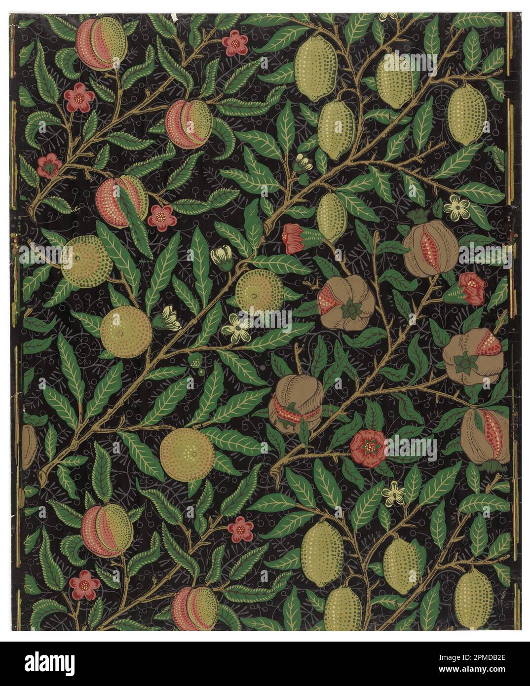 Sidewall, Fruit; Designed by William Morris (British, 1834–1896); Manufactured by Jeffrey & Company (United Kingdom); England; block printed on paper Stock Photo