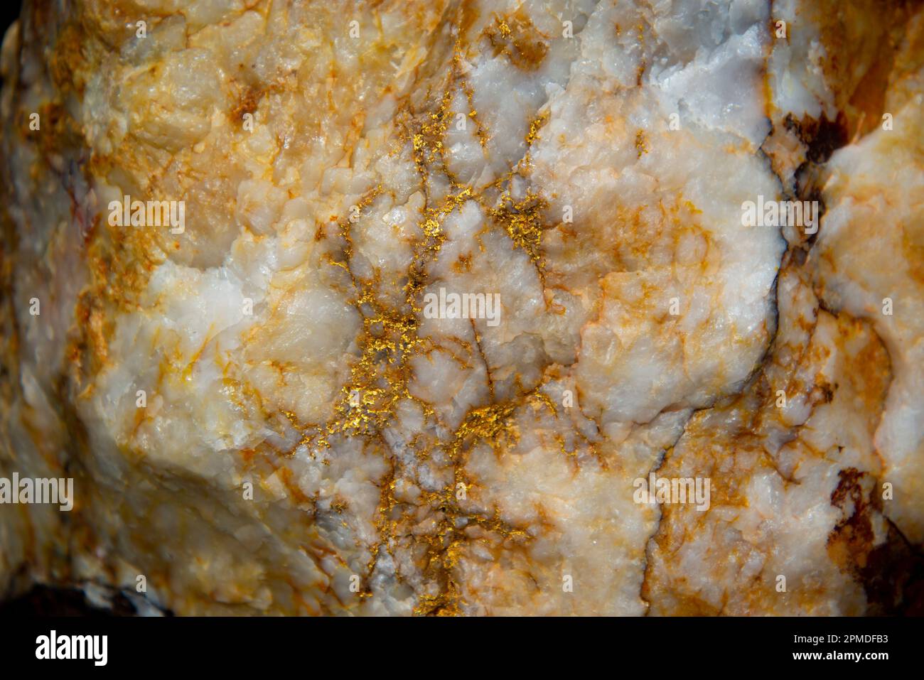 Visible Gold in Quartz Vein - Australia Stock Photo