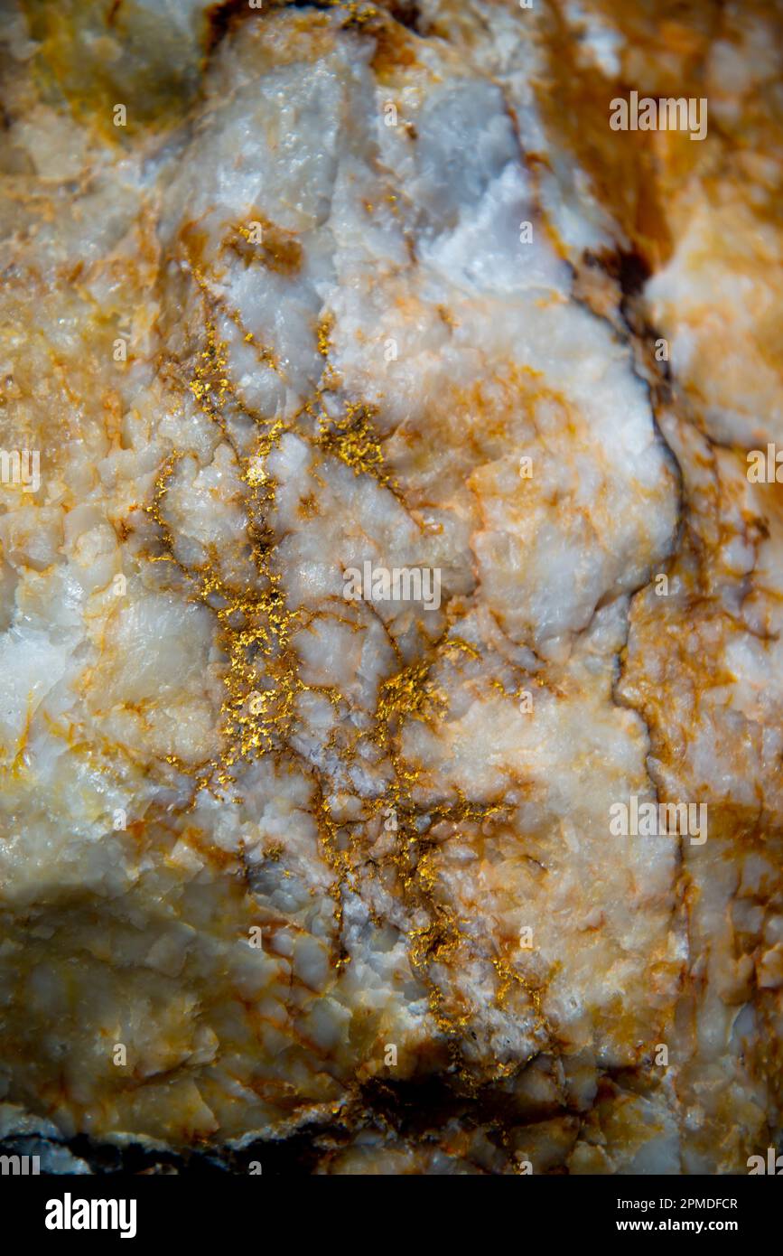 Visible Gold in Quartz Vein - Australia Stock Photo