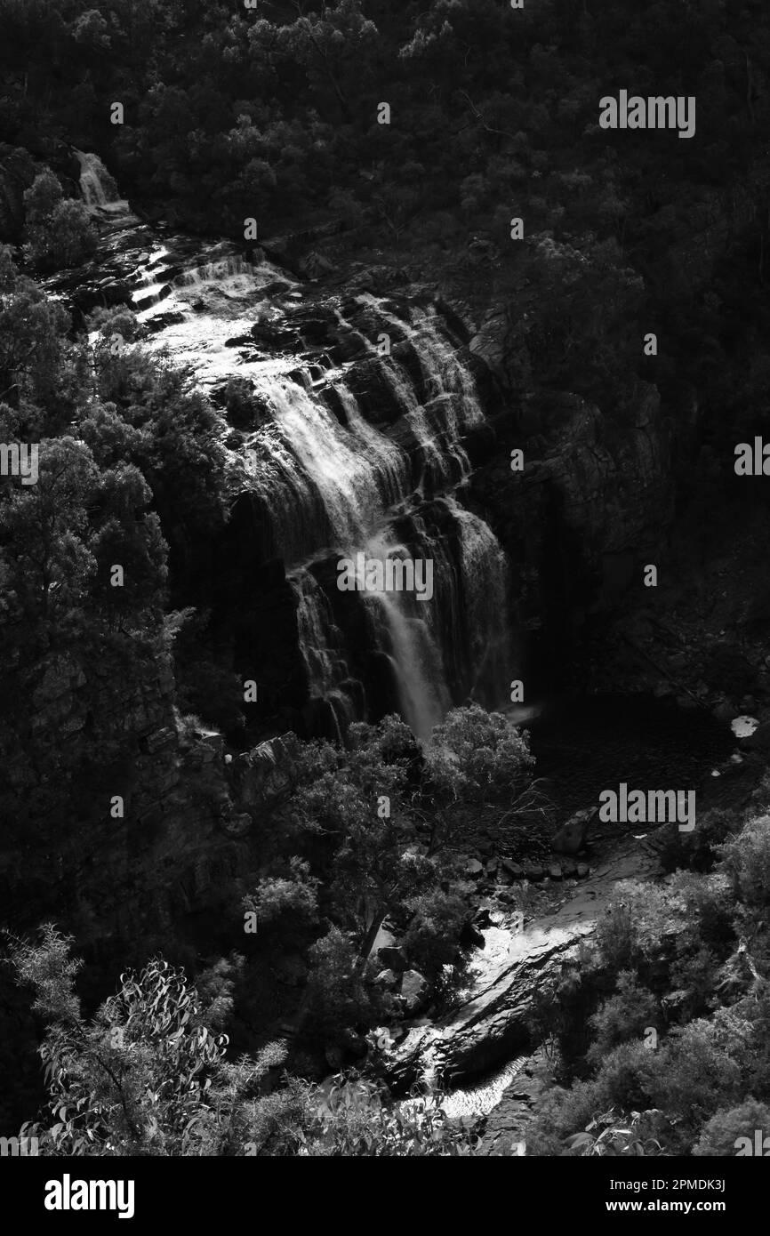 looking down on Mackenzie falls. Stock Photo