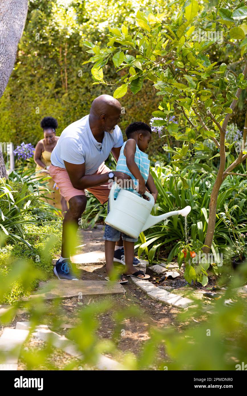 African american grandfather and grandson watering bell pepper plant ...