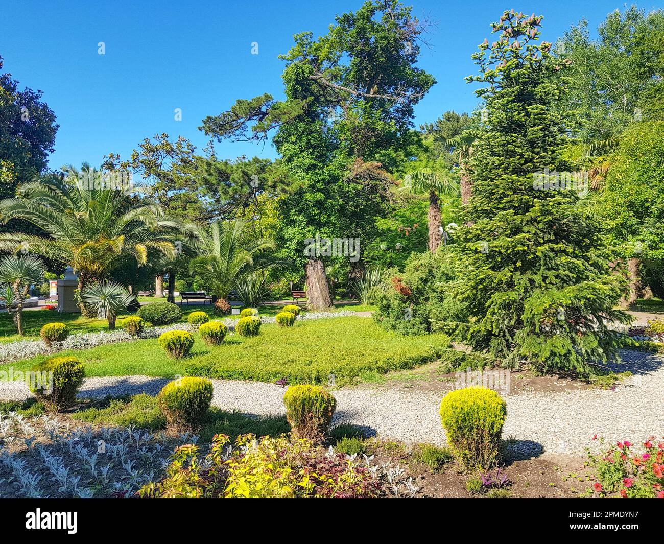 A beautiful huge garden park with flowers growing on round flower beds in the middle of garden paths, against a background of tropical palm trees, bri Stock Photo