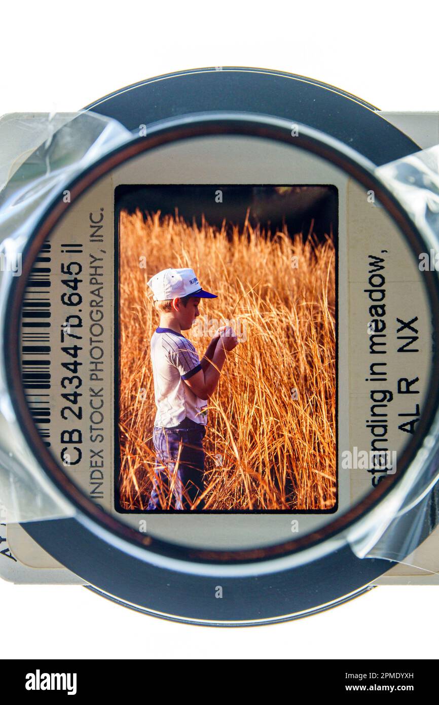 Elsanor Alabama,boy field meadow,color slide transparency trannie photo