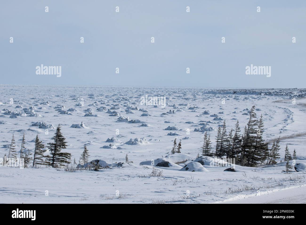 Ice mounds in Hudson Bay in Churchill, Manitoba, Canada Stock Photo