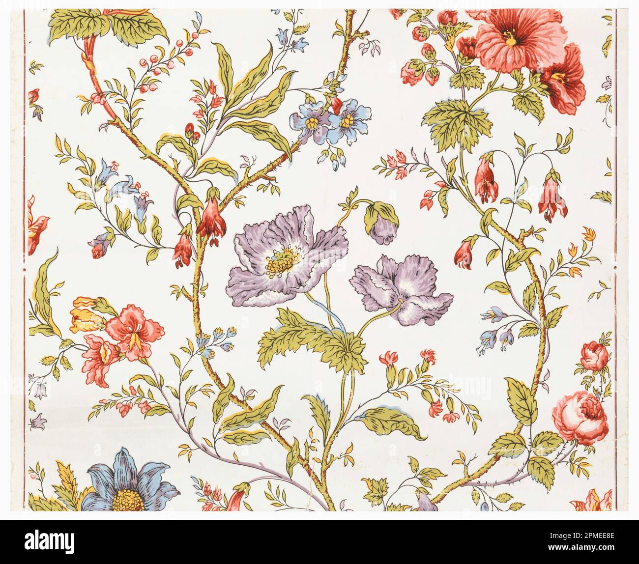 56 5 cm Cut Out Stock Images & Pictures - Alamy