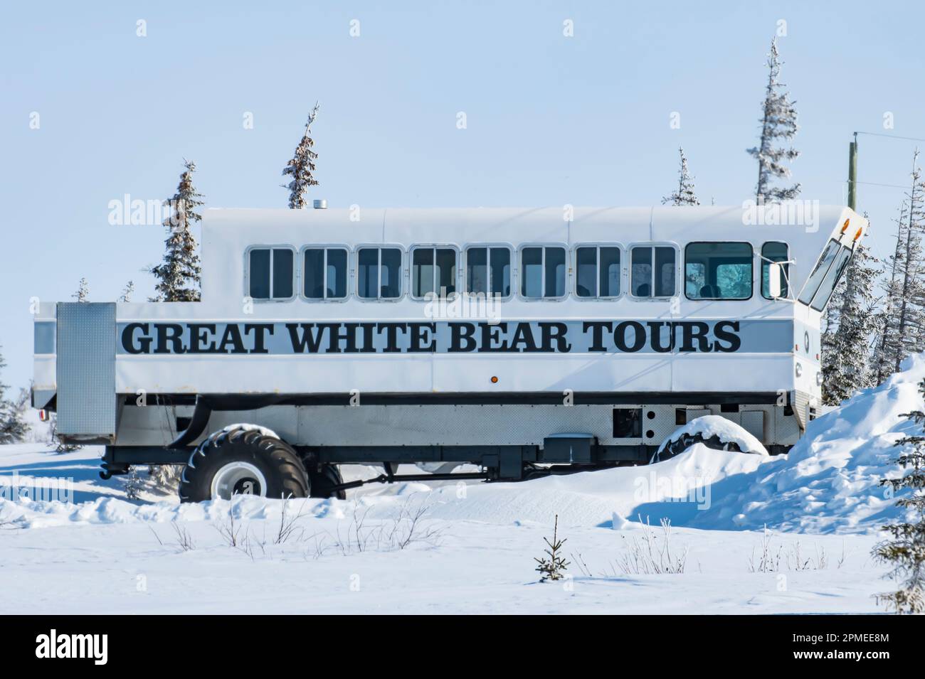 Great White Bear Tours tundra buggy parked in Churchill, Manitoba, Canada Stock Photo