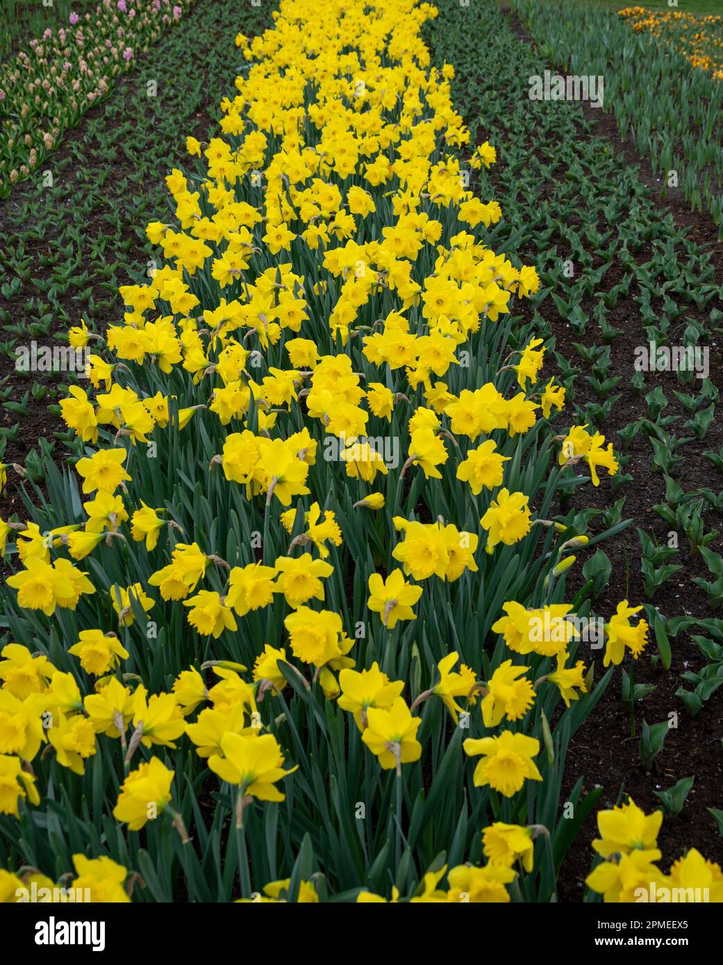 5. Blooming Beauty In A Rugged Boot