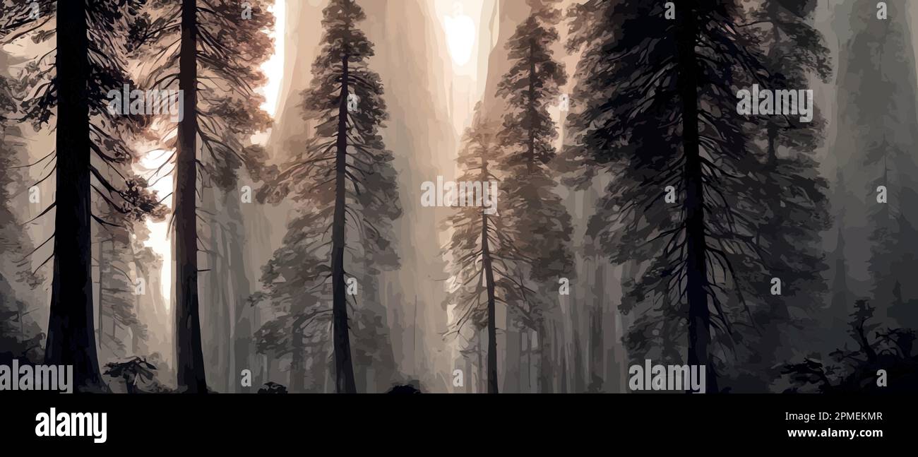 Foggy Forest Tumblr Background