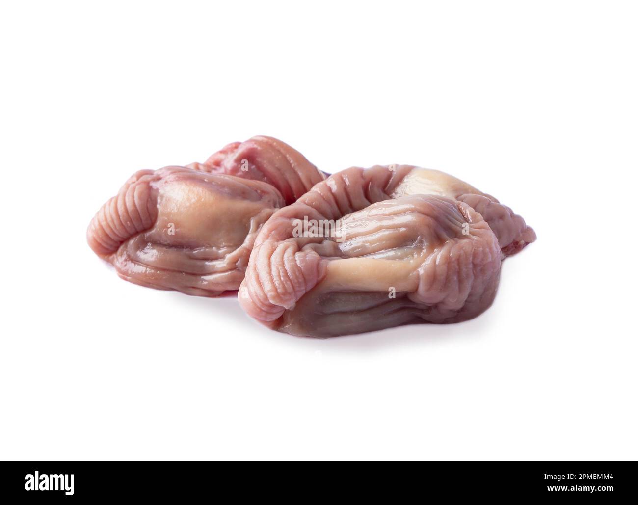 Raw сhicken stomachs isolated on white background. Raw сhicken stomachs, Fresh offal, close-up, isolated on white background. Stomachs chicken cooking Stock Photo