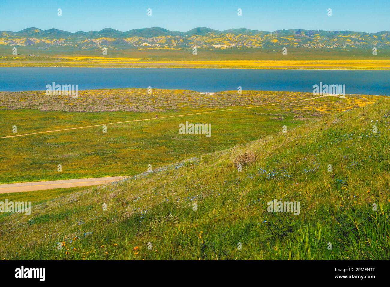 Soda Lake overlook, and wildflowers bloom at Carrizo Plain Ntional