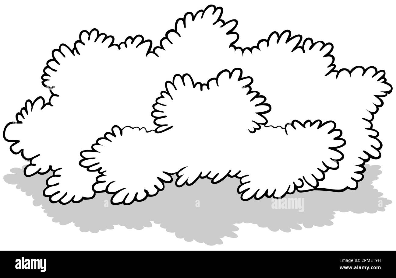 Drawing of a Wide Bush Stock Vector Image & Art Alamy