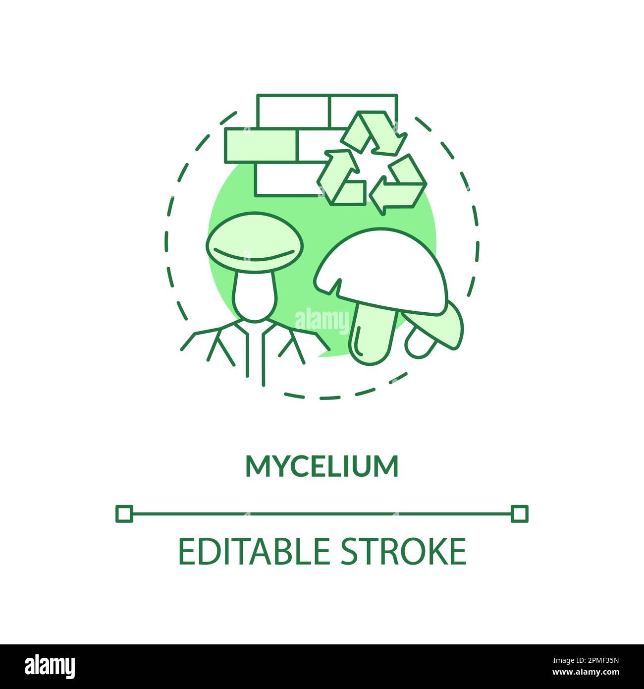 Mycelium green concept icon Stock Vector Image & Art Alamy