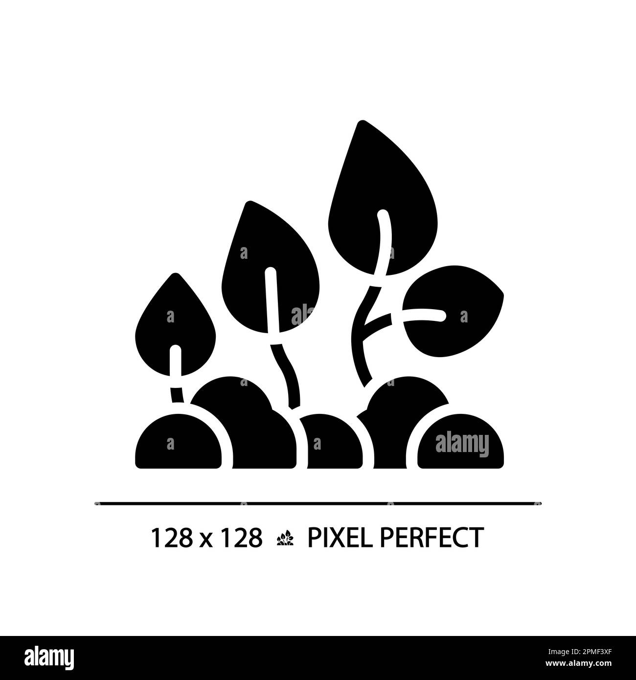Plant development black glyph icon Stock Vector Image & Art - Alamy