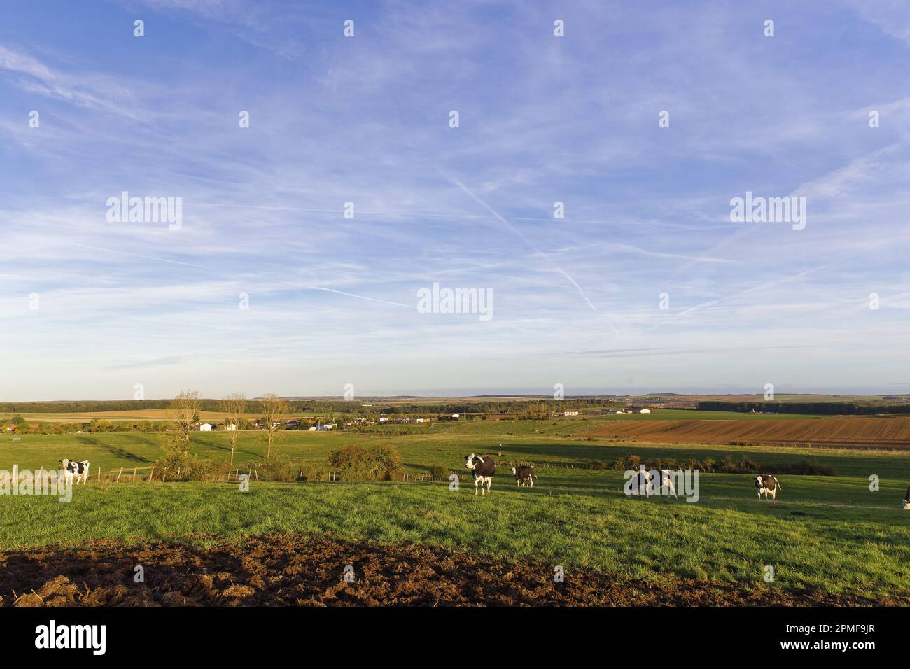 Cerville France, Meurthe et Moselle, Cerville, the countryside at the gates of ...