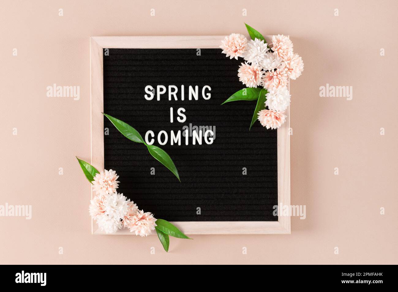 Letter board with Spring Is Coming text and flowers on beige wall ...