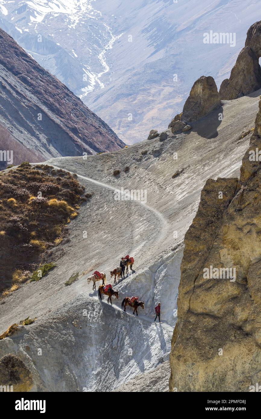 Nepal, Annapurna Conservation Area Project, Annapurna circuit, Upper