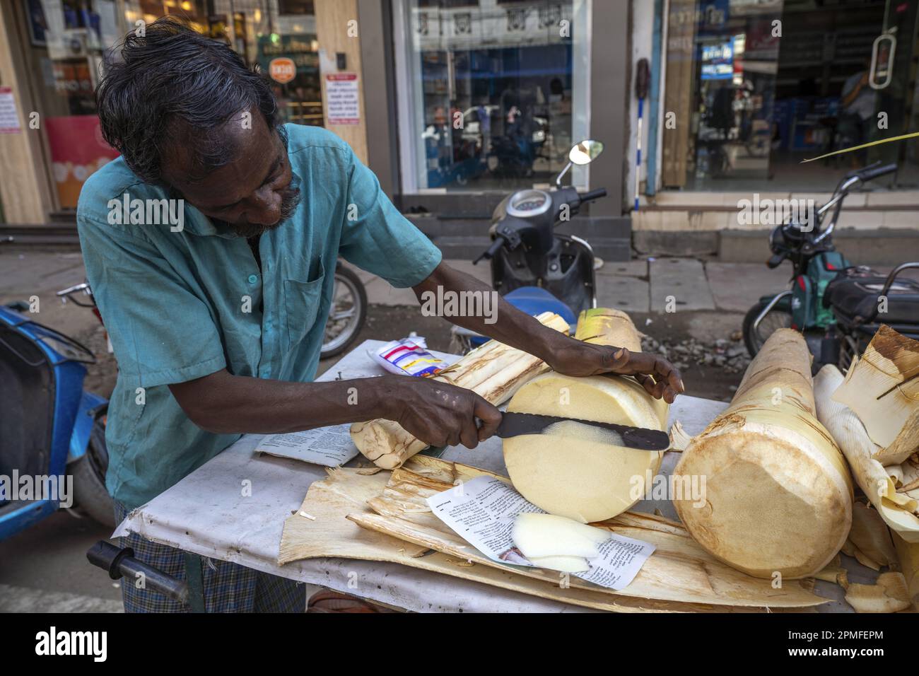 India, Tamil Nadu, Madurai, palm tree heart Stock Photo Alamy