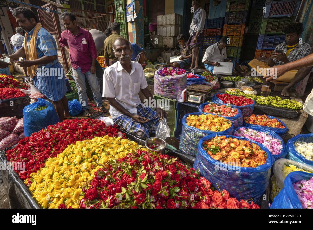 India, Tamil Nadu, Madurai, flower market Stock Photo Alamy
